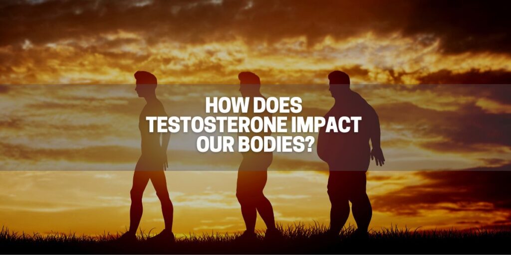 How Does Testosterone Impact Our Bodies Great Green Wall