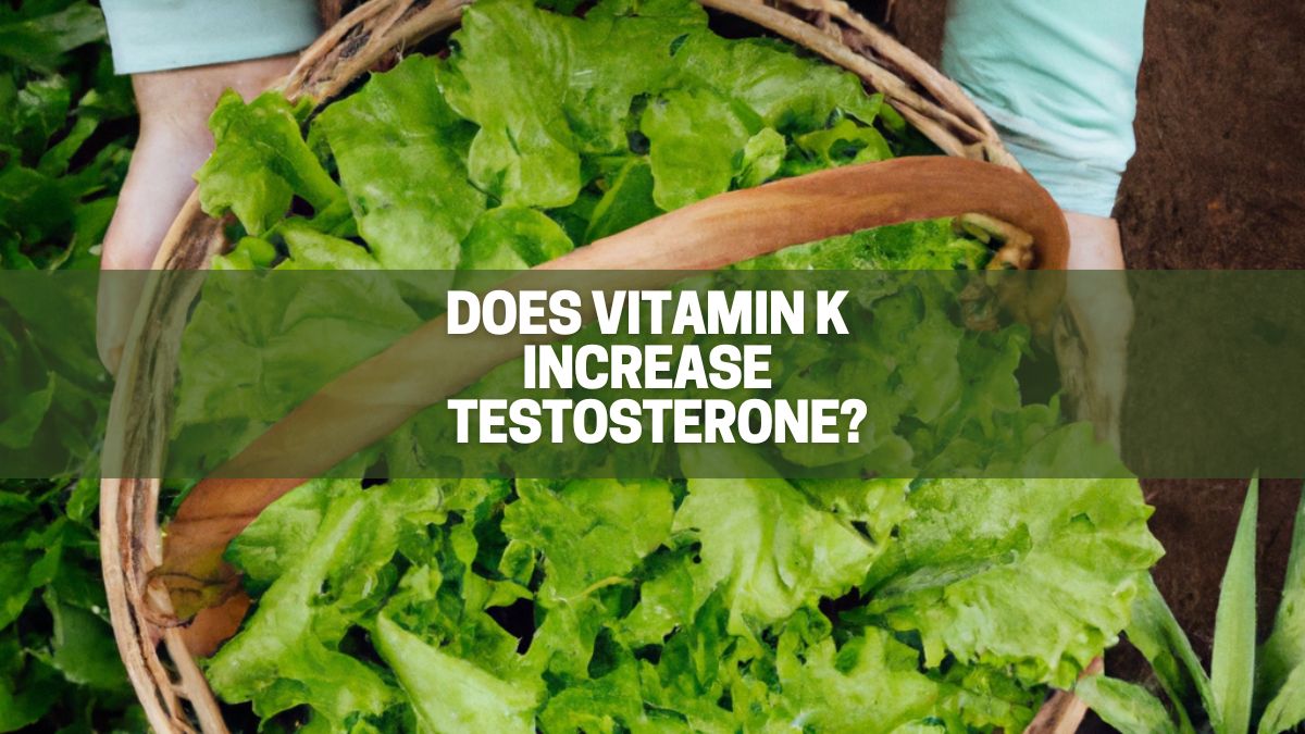 Does Vitamin K Really Increase My Testosterone TRUTH and