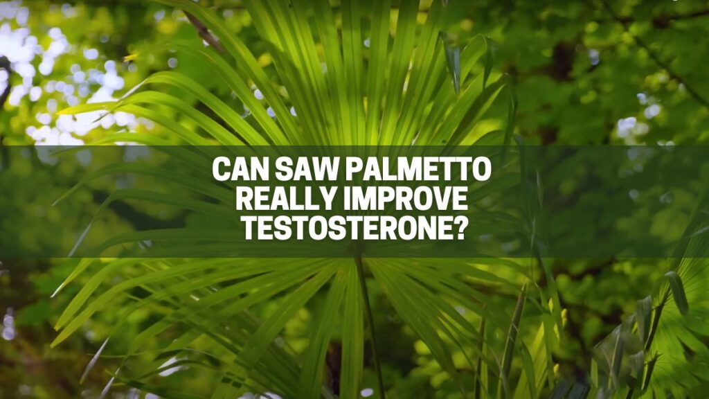 Will Saw Palmetto Really Improve My Testosterone? | WARNING And ...