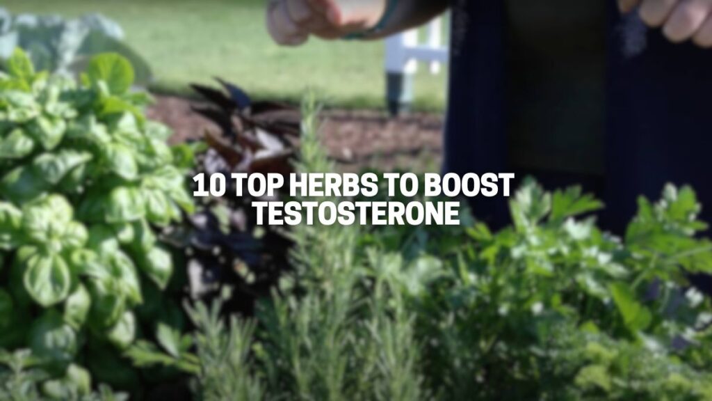 10 Top Herbs That Boost Testosterone Levels Great Green Wall 2173