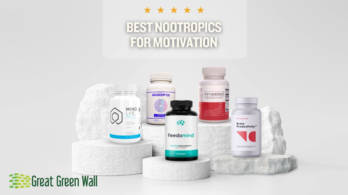 Nootropic for Energy and Motivation Boost