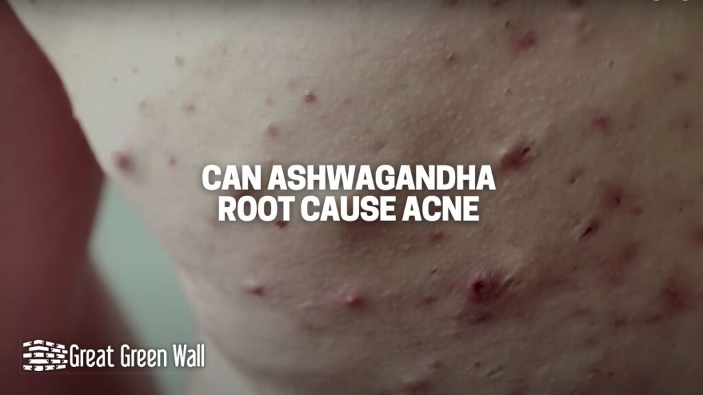 Can Ashwagandha Cause Acne? Scientific Evidence Great Green Wall