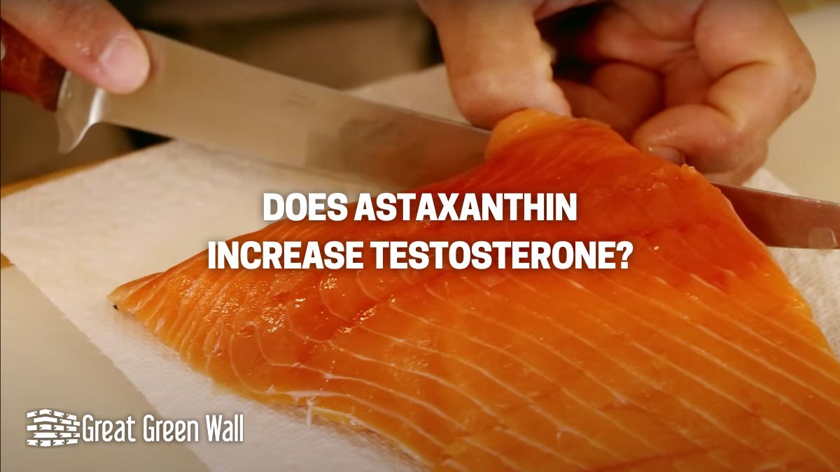 Does Astaxanthin Increase Testosterone Great Green Wall