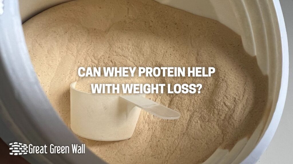 can-whey-protein-help-with-weight-loss-all-you-need-to-know-great