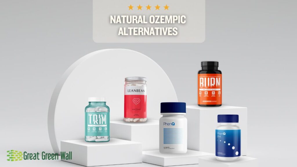 Natural Ozempic Alternatives 2024 Best OTC Options Great Green Wall   Ozempic Alternatives 1024x576 