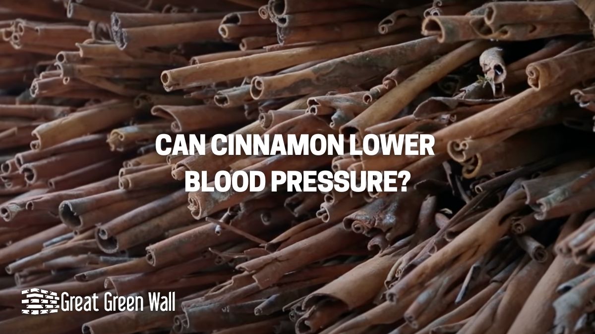 Can Cinnamon Lower Blood Pressure? Great Green Wall